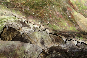 Entré d'une petite grotte formé par une coulé de lave